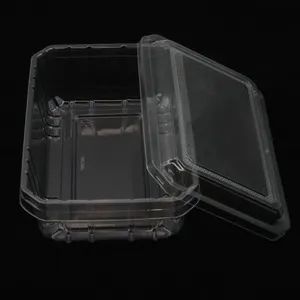 Leakproof để đi container nhựa Sushi khay tùy chỉnh ăn trưa Box Set xách tay Bento