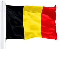 Drapeau de voiture numérique imprimé en gros, nouveau modèle belge, à suspendre à la fenêtre, 100 % polyester, avec grand mât