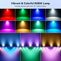 100W RGBW teinture Par lumière Mini 2 yeux COB LED scène public Blinder lumière DMX effet activé par le son pour DJ fête mariage spectacle