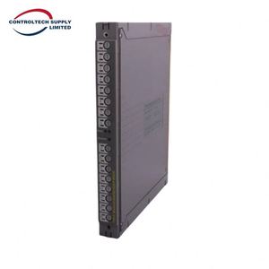 โมดูลโปรเซสเซอร์หลัก T8300 รุ่นใหม่ของแท้ในสต็อก ชุดควบคุมอุตสาหกรรม ICS Triplex Critical Control Unit - Product Image 2