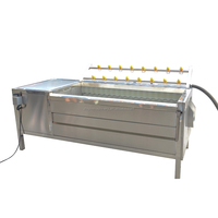 Machine industrielle de lavage et de pelage de légumes racineux SUS304, capacité 500-1000 kg/heure, pour patates douces, carottes, gingembre