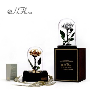 هورد بسعر الجملة-عناصر الهدايا الفاخرة هدية فاخرة مع الحفاظ على الملاكمة في قبة زجاجية - Product Image 5