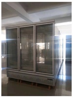 Bouteille verticale pour porte en verre simple, pour réfrigérateur, expédition à domicile, bon marché, prix Commercial