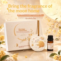 Tablette parfumée en gypse Lapin de la Lune, Pierre aromatique, Huile essentielle d'aromathérapie, Coffret cadeau, Cadeau pour le Festival de la Mi-Automne