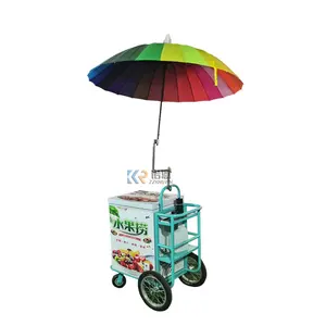 2024 congelador móvil al aire libre enfriador de hielo rodante helado bicicleta eléctrica carrito de helado refrigerado para entrega de alimentos