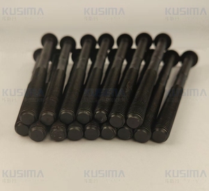 Perno de Culata para Motor 508PS 508PN 306PS para Land Rover <span class=keywords><strong>Jaguar</strong></span> AJ133 5.0T SC 5.0 N/A <span class=keywords><strong>SVR</strong></span> 5.0 AJ126 3.0 AJ300 LR026143 4677857 - Product Image 3