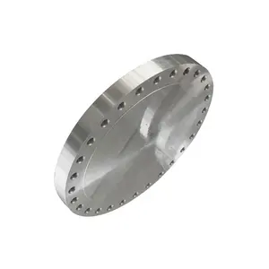 ASME/ANSI B16. 5 A234 WPB 20# Q235 Carbon Steel Blind Flange Weight 12820-80 Carbon Steel Flanges