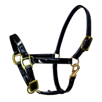 Harnais pour cheval en cuir microfibre. 20 mm de large, deux couches. Imperméable, facile à nettoyer. Produit équin, équipement équestre. LT4009