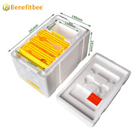 Boîte d'accouplement pour l'apiculture nuc Box Polystyrène Bee Hive