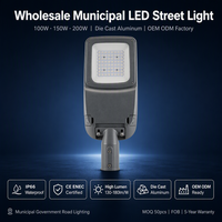 Lámpara LED de Calle Municipal al por Mayor, 100W 150W, Aluminio Fundido a Presión, IP66, Alto Lumen, CE ENEC, Iluminación Vial, Fábrica OEM ODM