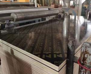 Contreplaqué filmé Tego robuste <span class=keywords><strong>de</strong></span> 12 mm, largement applicable pour la construction, le contreplaqué, le coffrage en béton, film noir E1, formaldéhyde - Product Image 2