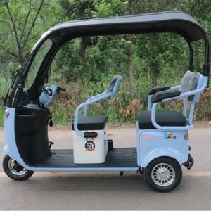 Tricycle <span class=keywords><strong>cargo</strong></span> électrique 1000w, scooter à dérive, vélo électrique à 3 roues pour adultes avec couverture, véhicule passager et <span class=keywords><strong>cargo</strong></span> - Product Image 1