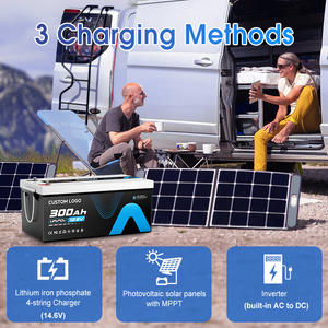 Batería de iones de litio de grado 12V Lifepo4 300Ah 460Ah 24V 100Ah 200Ah con Smart Bms - Product Image 5