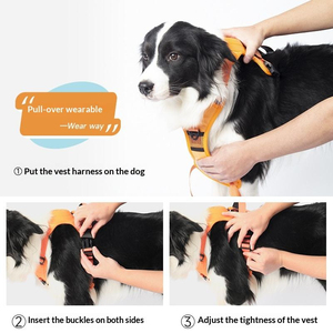 Harnais pour chien intégré avec laisse rétractable, type gilet, pour chiens de taille moyenne à grande, sangle anti-évasion avec boucle de fermeture - Product Image 3