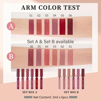 Ensemble de rouge à lèvres liquide mat avec logo personnalisé, maquillage pour les lèvres imperméable pour filles et femmes, kit de gloss à lèvres multicolores, rouges à lèvres hydratants
