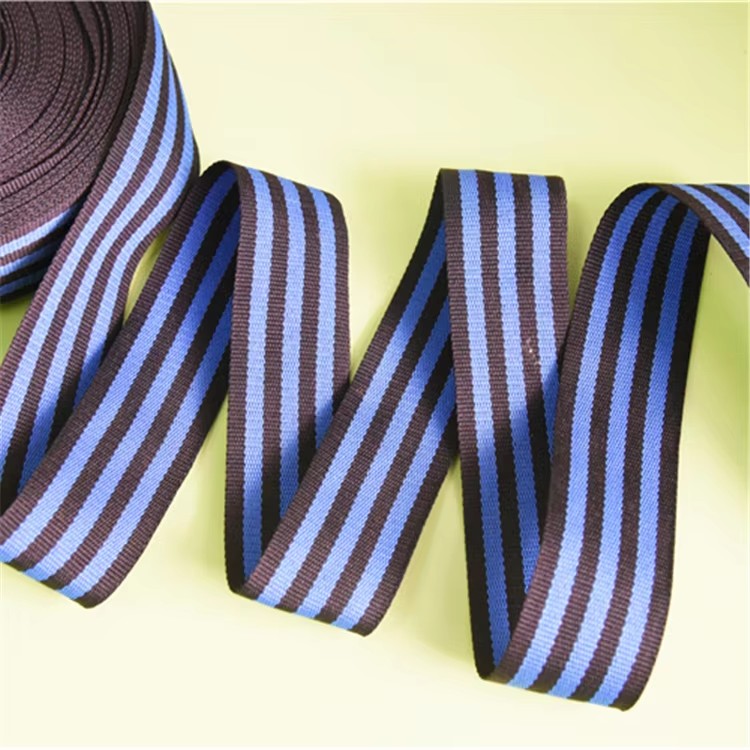 Factory Production and Processing of Nylon Mesh (according to Code) Custom Printed Polyester Elasticity Webbing Ribbon