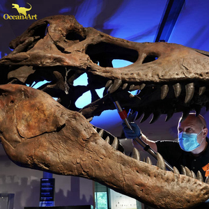 Khủng Long Hóa Thạch Skull Bất T Rex Skeleton Để Bán - Product Image 4