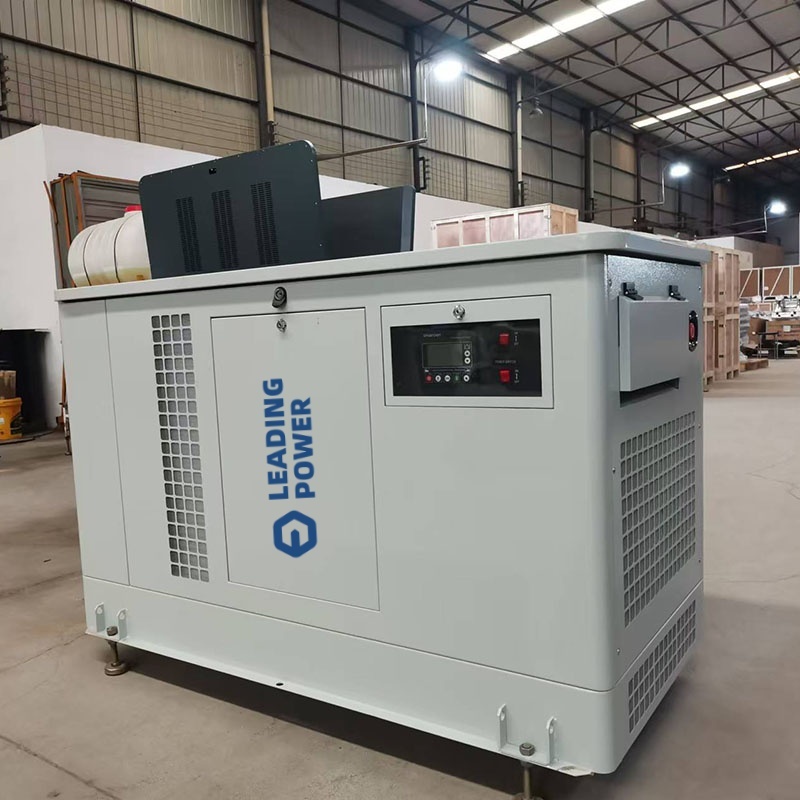 Dual Fuel NG LPG Gas Generator