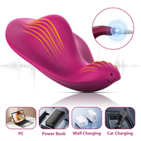 Anpassbarer Smart-App-gesteuerter Vibrator für Frauen, kabellose Fernbedienung, Klitoris-Stimulator, Höschen-Massagegerät, G-Punkt-Vibrator