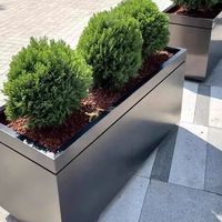 Jardinière sur mesure en acier inoxydable 316 robuste au design moderne pour aménagements paysagers municipaux, jardins sur toits commerciaux et décoration intérieure