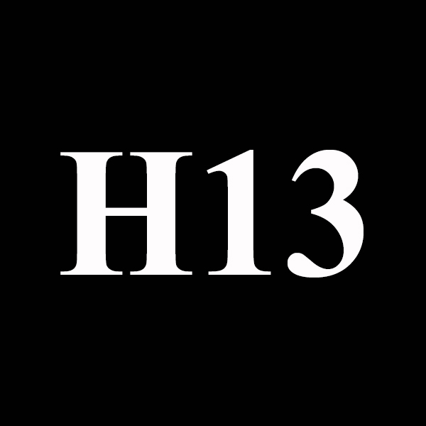 H13