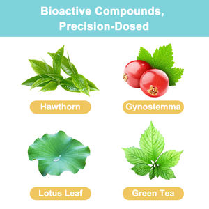 การดูแลไขมันชาสมุนไพรธรรมชาติธรรมชาติธรรมชาติถุงชา Hawthorn & Gynostemma สำหรับการจัดการไขมัน - Product Image 3