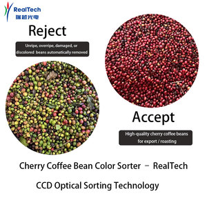 Máquina Clasificadora de Granos de Café Cherry de Alta Precisión, Equipo de Clasificación Óptica CCD AI, CE - Product Image 6