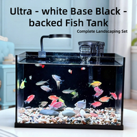 Aquarium de luxe en verre ultra-blanc avec système de filtration dissimulé pour l'aménagement aquatique et l'affichage en bijouterie