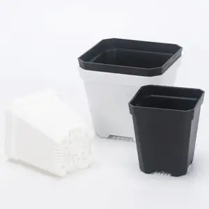 Plastic Nursery Pots Garden Pot Succulent Plant Thickened Black and White Square Pots 7/10cm Square Flower Flowerpots