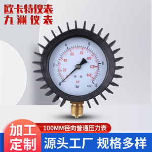 Manomètre radial de 100 mm avec couvercle de protection en fonte pour la protection industrielle - Product Image 3