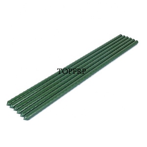 Plastic Coated <b>Tomato</b> Plant <b>Support</b> Stake for Sale - Product Image 1