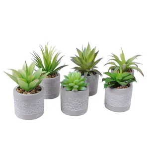 Mini piante in vaso finte all'ingrosso disposizione piante grasse in vaso cactus piante artificiali per la decorazione interna