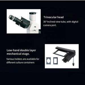<span class=keywords><strong>Microscope</strong></span> biologique inversé pour la culture cellulaire et la recherche biologique, <span class=keywords><strong>prix</strong></span> d'usine Boshida BD-S1 - Product Image 3
