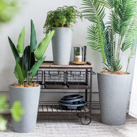 Pots de jardin en ciment en gros de haute qualité Pot de fleurs et jardinière pour un usage domestique