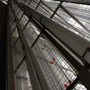 <span class=keywords><strong>Grossiste</strong></span> Design Cage pour poules pondeuses en batterie Poulailler pour poules pondeuses Ferme avicole Cages pour poulets - Product Image 1