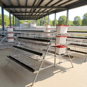 3 Tiers A-Type Layer Chicken Cage <strong>Galvanized</strong> Wire Poultry Cage with Automatic <strong>Watering</strong> &amp; Feeding <strong>Trough</strong> for Egg Laying Hens - Product Image 2