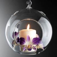 Vase Globe en verre suspendu en forme de boule, Terrarium de plante pour ornement de maison, vente en gros, Mh-bl020