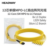 Câble de répartition 12 fibres OS2 SM MPO vers LC, LSZH, 12 fibres MPO femelle vers 6x LC duplex, haute vitesse 100G, 50cm, Jumper