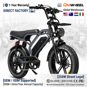 Bicicleta Eléctrica QMHEEL V20 Limited 48V, Bicicleta Eléctrica Urbana con Batería de Litio Extraíble para Distribuidores, Marca Privada - Product Image 1