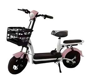 <span class=keywords><strong>Promotion</strong></span> pas cher prix <span class=keywords><strong>en</strong></span> vente 14 pouces 500W moteur avec 48V 12Ah batterie e-bike Offre Spéciale <span class=keywords><strong>vélo</strong></span> <span class=keywords><strong>électrique</strong></span> pour adulte et adolescent - Product Image 3