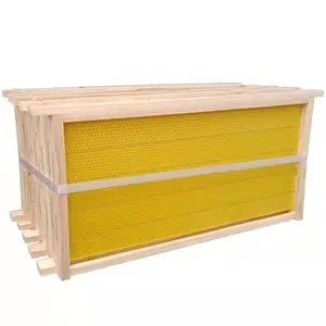 5pcs Waxed Foundation with Frames Beehive Kit Wax Coated Bee Langstroth Bee Hive Frames For Beekeeping