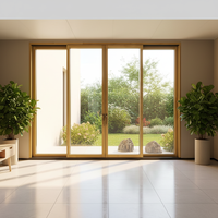 Hôtel de luxe moderne Patio aluminium plaqué glissière poignée de porte en verre serrure ascenseur panoramique porte coulissante pour Villa chambre hôpital