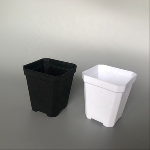 Lưới Ươm Cây Bằng Nhựa Trong Suốt Màu Trắng Đen Nông Nhỏ Hình Vuông Nhỏ Lưới Trồng Cây Mọng Nước Chậu Hoa - Product Image 2