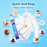 Non toxique Portable détergent à lessive tache décontamination stylo poussière nettoyant huile tache nettoyage tissu tissu détachant stylo