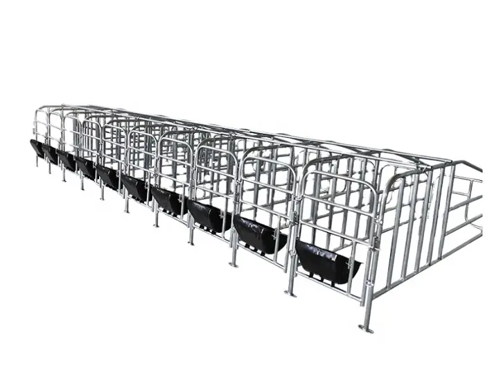 Sow-cama de gestación de cerdo galvanizado, cajas de corral, bolígrafo, suelo de cerdo, cama de parto, equipo de cerdas en venta