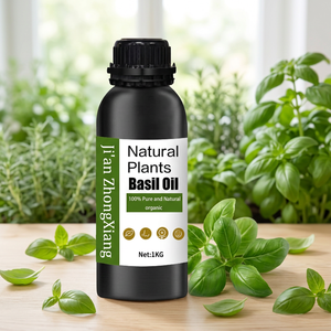 Proveedores de Aceites Esenciales, Aceite Esencial de <span class=keywords><strong>Albahaca</strong></span> Natural Puro 100%, Aceite Esencial a Granel, Aceite Esencial para Inhalador Nasal, Aceite de <span class=keywords><strong>Albahaca</strong></span> - Product Image 1