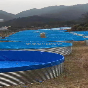 Generador de Oxígeno para Acuicultura, Tanque Circular Grande de PVC Azul para Biofloc, 41000 Litros, Diámetro 6m x Altura 1.45m, para Piscicultura - Product Image 3