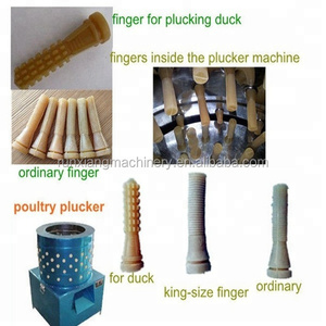 เครื่องถอนขนไก่และขูดขนหมูคุณภาพสูง ทำจากสแตนเลส พร้อมเครื่องยนต์ กำลังการผลิต 200 กก./ชม. ประสิทธิภาพสูง - Product Image 3