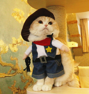 Unny-Disfraz de gato y perro travieso, disfraz para Cosplay - Product Image 3