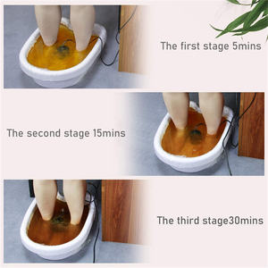 Machine de Désintoxication Électrique pour les Pieds, <span class=keywords><strong>Spa</strong></span> de Bain de Pieds Ionique avec Bassine en Plastique - Product Image 5